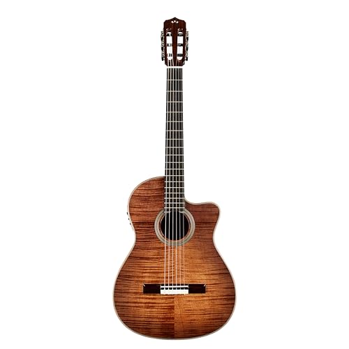 Amazon | コルドバ Cordoba エレガットギター クラシックギター
